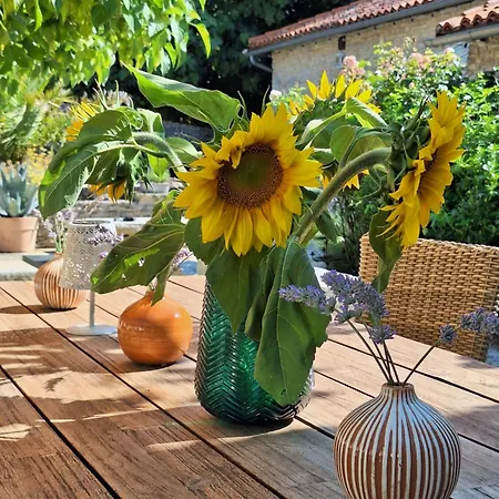 La Rapiette 4* Payroux