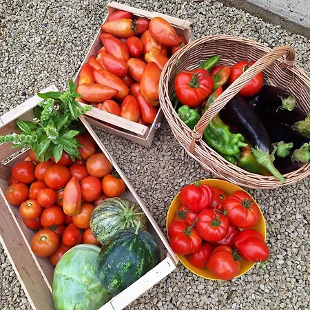 住宿加早餐酒店 La Rapiette Payroux