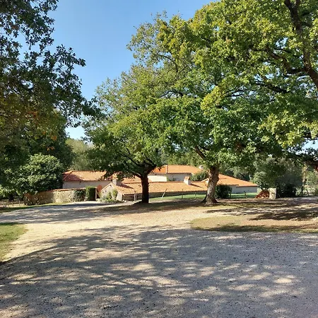 Frühstückspension La Rapiette Payroux